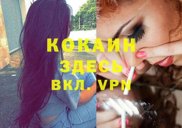 ПСИЛОЦИБИНОВЫЕ ГРИБЫ Белоозёрский