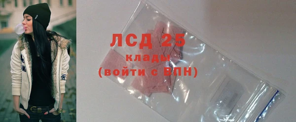 ECSTASY Белокуриха