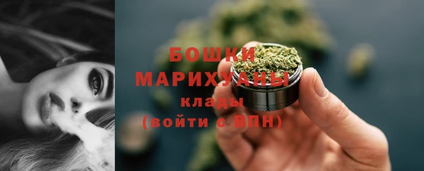 СК Богородск