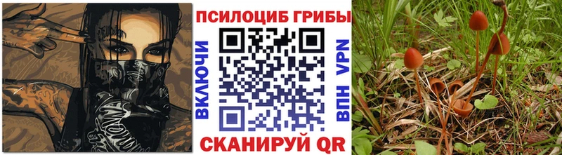 Псилоцибиновые грибы Magic Shrooms  Бийск 